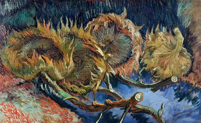 Quatre tournesols coupés, 1887