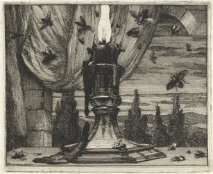 Mouches attirées par la lumière d