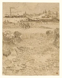 Arles : vue depuis les champs de blé