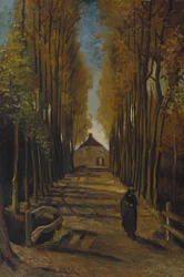Allée de peupliers en automne