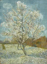 Pêcher en fleurs (rose)