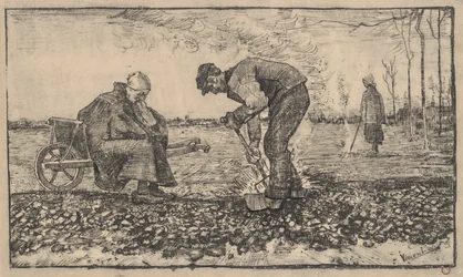 Mauvaises herbes brûlantes