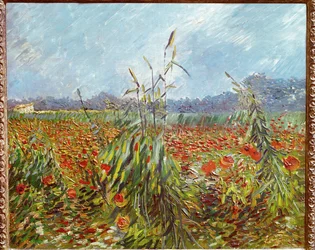 Champs de maïs et coquelicots (huile sur toile)