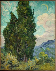 Cyprès