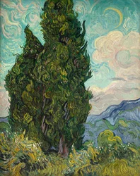 Cyprès