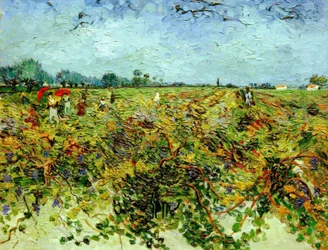 La vigne verte