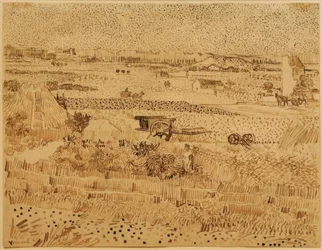 Récolte en Provence