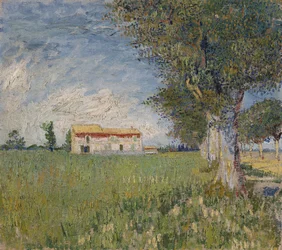 Ferme dans un champ de blé