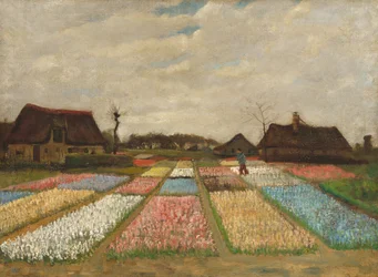 Parterres de fleurs en Hollande