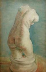 Torso en plâtre (féminin) de dos