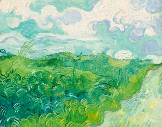 Champs de blé vert, Auvers