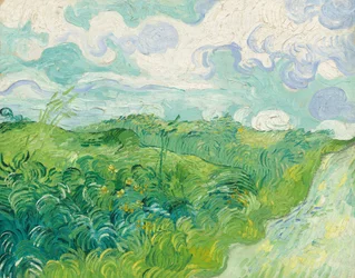 Champs de blé verts, Auvers