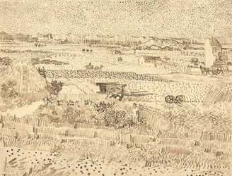 Récolte - La Plaine de La Crau