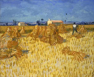 Récolte en Provence