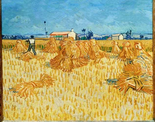 Vendanges en Provence juin 1888 (huile sur toile)