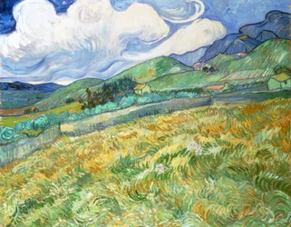 Paysage de Saint-Rémy