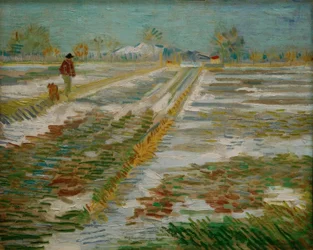 Paysage enneigé