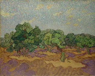 Oliviers, 1889