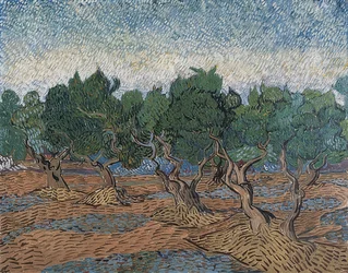Oliveraie. 1889