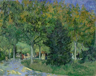 Sentier dans le parc d