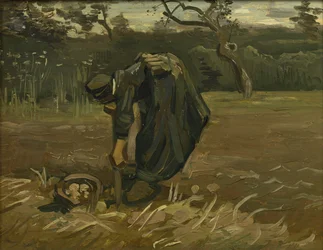 Paysanne récoltant des pommes de terre, 1885