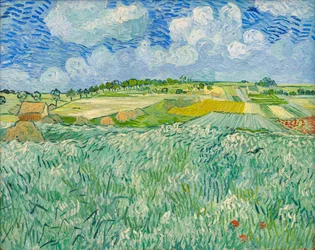 Plaine près d