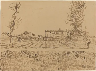 Laboureur dans les champs près d