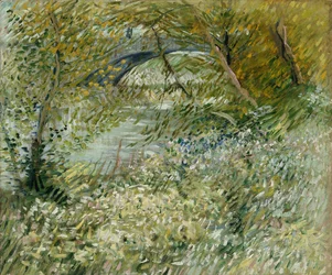 Rive du fleuve au printemps