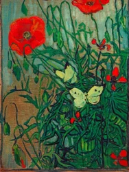 Papillons sur des fleurs de pavot