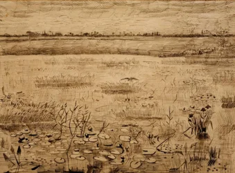 Paysage marécageux avec des nénuphars