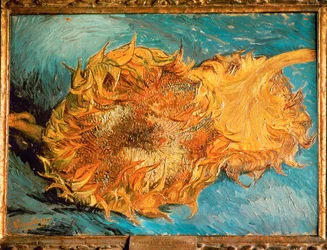 Tournesols (peinture sur toile)