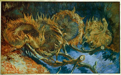 Tournesols