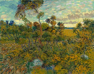 Coucher de soleil à Montmajour