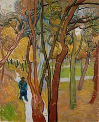 Le jardin de l