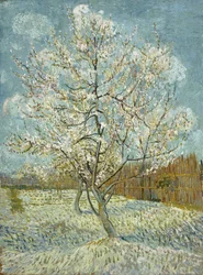 Le pêcher rose
