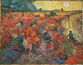 Le vignoble rouge d