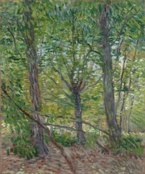 Arbres