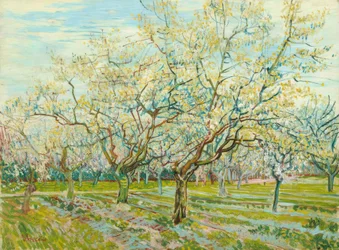 Le verger blanc