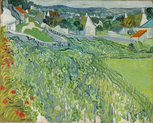 Vignobles à Auvers