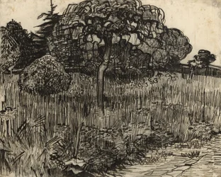 Arbre pleureur, 1889
