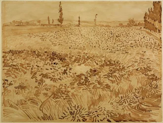 Champ de blé