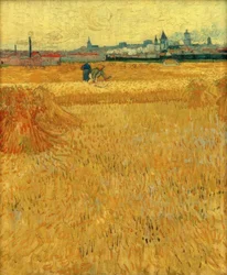 Champ de blé avec vue sur Arles