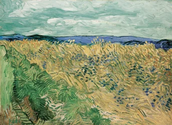 Champ de blé aux bleuets