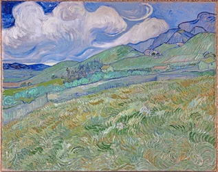 Champ de blé et montagnes