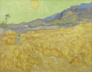 Champ de blé avec un moissonneur