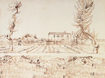 Laboureur dans les Champs à Arles