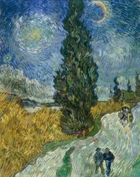 Chemin de cyprès sous le ciel étoilé