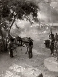 Ferrage des chevaux, Italie