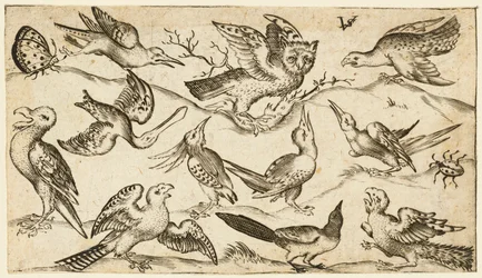 Onze oiseaux et deux insectes sur un sol minimal avec une chouette aux ailes déployées, 1572