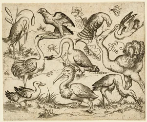 Autruche à gauche avec neuf autres oiseaux, y compris un héron et un pélican